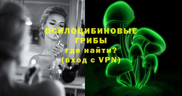 ALPHA PVP Белокуриха