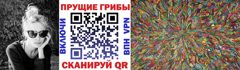 Галлюциногенные грибы прущие грибы  Купить  Кохма 